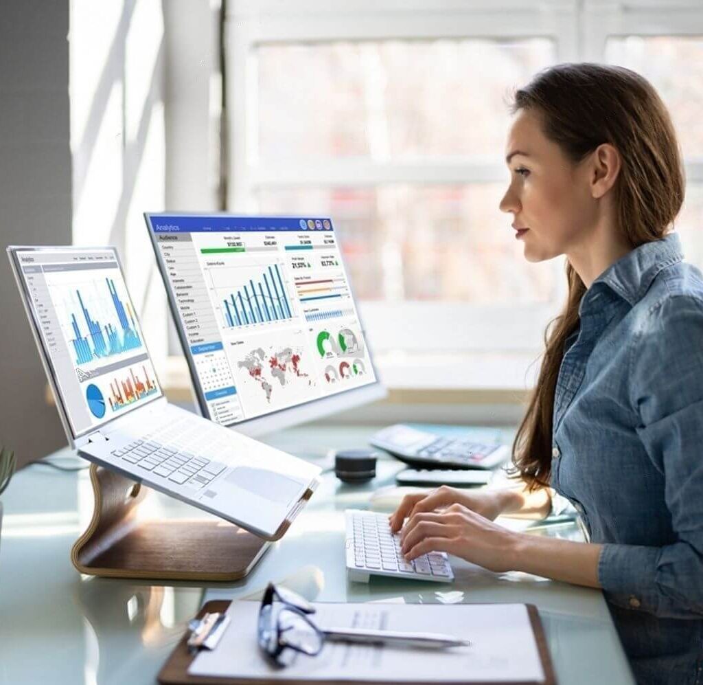 Business analyst analyzing set of data in her office computer